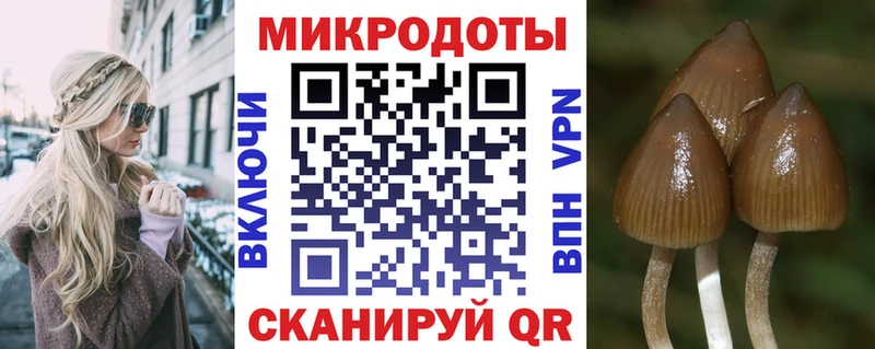 площадка официальный сайт Черногорск Псилоцибиновые грибы ЛСД MEGA рабочий сайт