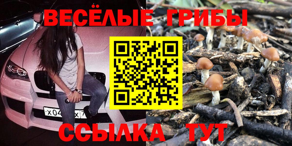 Черногорск  Псилоцибиновые грибы мицелий  Галлюциногенные грибы MAGIC MUSHROOMS  Вход с VPN 