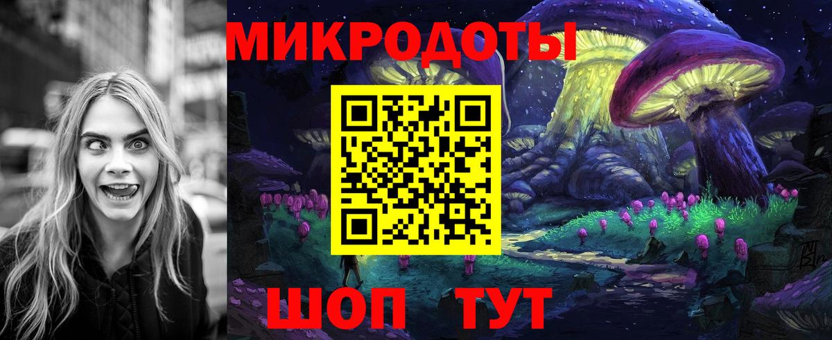 Псилоцибиновые грибы Psilocybine cubensis Черногорск